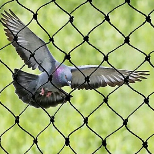 BIRD NETTING IN BENGALURU
